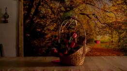 Nissan X-Trail sprawi, że pokochasz weekendy poza miastem