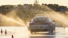 Porsche Performance Drive - oszczędzanie sportowym dieslem