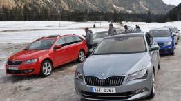 Skoda 4x4 - walka z lodem