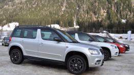 Skoda 4x4 - walka z lodem