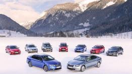 Skoda 4x4 - walka z lodem