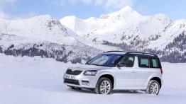 Skoda 4x4 - walka z lodem