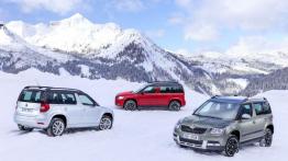 Skoda 4x4 - walka z lodem