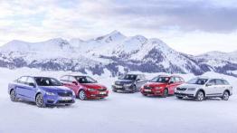 Skoda 4x4 - walka z lodem