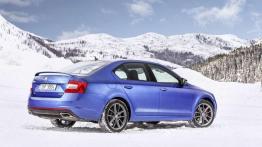 Skoda 4x4 - walka z lodem