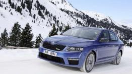 Skoda 4x4 - walka z lodem