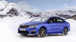 Skoda 4x4 - walka z lodem