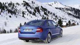 Skoda 4x4 - walka z lodem