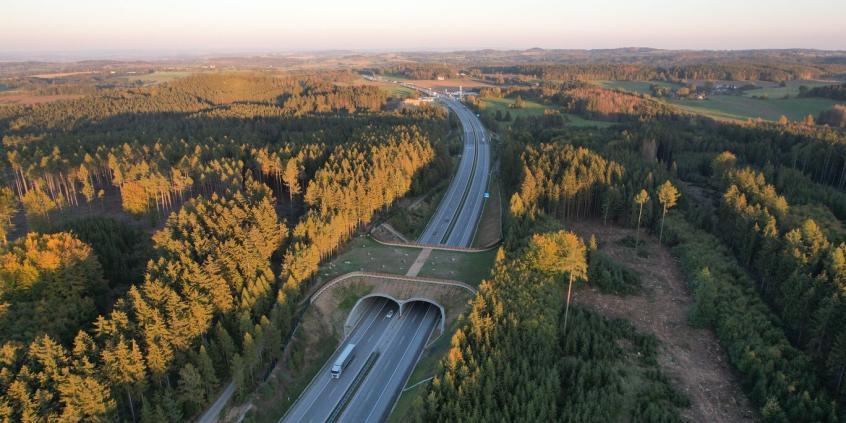 Mamy już 24,4 mln samochodów i 5416 km dróg szybkiego ruchu. Polska szybko się zmienia