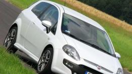 Fiat Punto Evo - Dwulicowiec