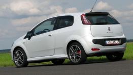 Fiat Punto Evo - Dwulicowiec