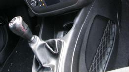 Fiat Punto Evo - Dwulicowiec