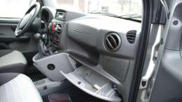 Włoski wielozadaniowiec