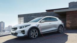 Znamy ceny hybrydowych odmian Kii Ceed