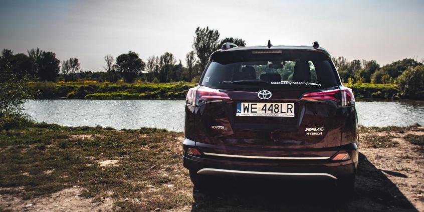 Czy kupujemy więcej nowych aut? Analiza i ocena