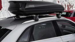Audi Q3 w terenowym przebraniu na Worthersee