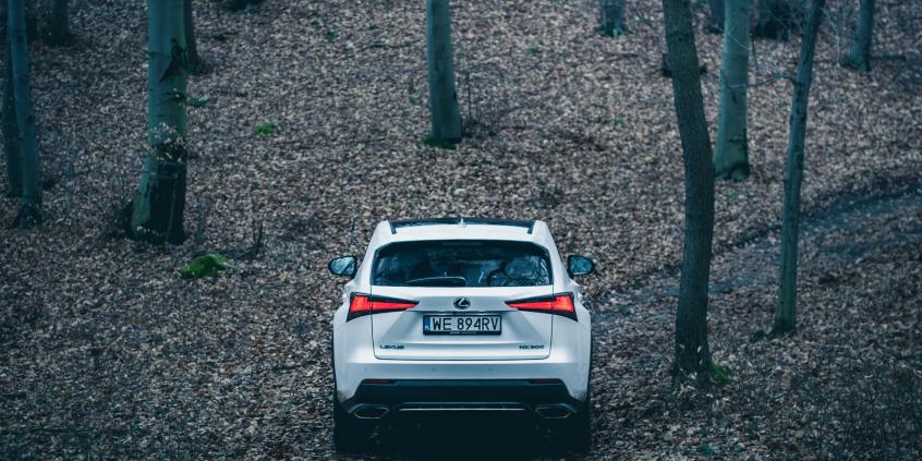 Lexus NX 300 – poza asfaltem
