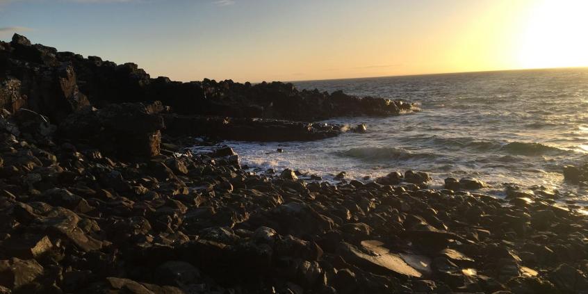 Region Skania w Szwecji – idealny na wakacje za kierownicą