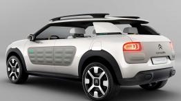 Citroen C4 Cactus - znamy ceny i sens... poduszek
