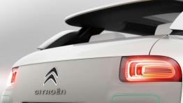 Citroen C4 Cactus - znamy ceny i sens... poduszek