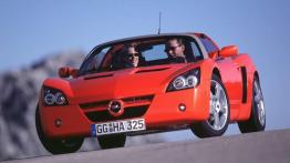 Szalone modele popularnych marek