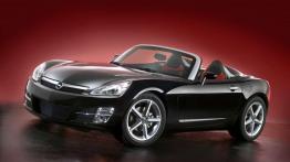 Szalone modele popularnych marek