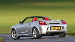 Szalone modele popularnych marek