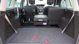 Renault Grand Scenic - ginący gatunek?