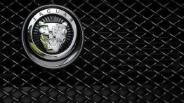 Jaguar XF Facelifting 2.2 Diesel - logo