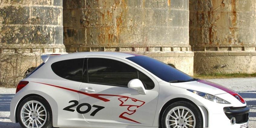 Peugeot 207 RCup Concept