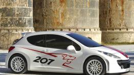 Peugeot 207 RCup Concept - prawy bok