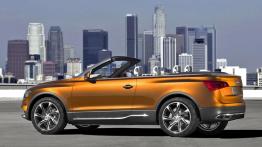 Audi Cross Cabrio Quatrro Concept - lewy bok