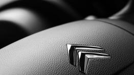 Citroen Jumper - inny element panelu przedniego