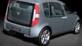 Skoda Roomster - widok z tyłu