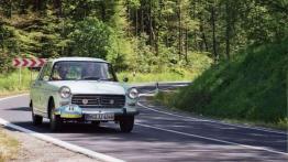 Francuski muszkieter