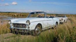 Francuski muszkieter