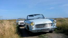 Francuski muszkieter