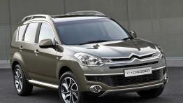 Citroen C-Crosser - widok z przodu