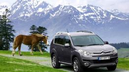 Citroen C-Crosser - widok z przodu