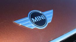 Mini Cooper SD Paceman All4 - pomysł na biznes