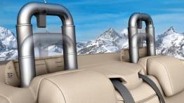 Ford Focus Coupe Cabriolet - zagłówki na tylnych fotelach