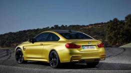 BMW M4 ze świetnym czasem na Nordschleife