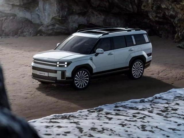 Hyundai Santa Fe V - Zużycie paliwa