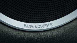 Audi Q5 Facelifting - głośnik w drzwiach przednich