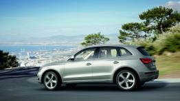 Audi Q5 Facelifting - lewy bok