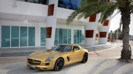 Mercedes SLS AMG - widok z przodu