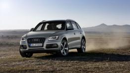 Audi Q5 Facelifting - widok z przodu