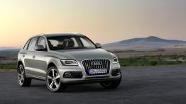 Audi Q5 Facelifting - widok z przodu