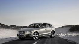 Audi Q5 Facelifting - lewy bok