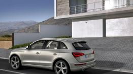 Audi Q5 Facelifting - lewy bok